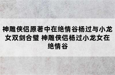 神雕侠侣原著中在绝情谷杨过与小龙女双剑合璧 神雕侠侣杨过小龙女在绝情谷